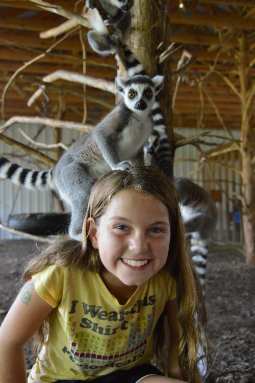 Cub Creek Animal Camp